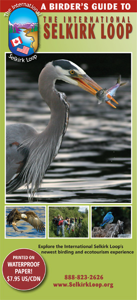 A Birder's Guide to The International Selkirk Loop