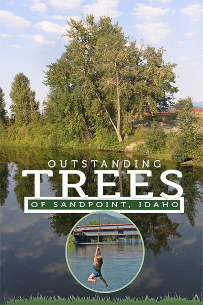 Outstanding Trees of Sandpoint, Idaho