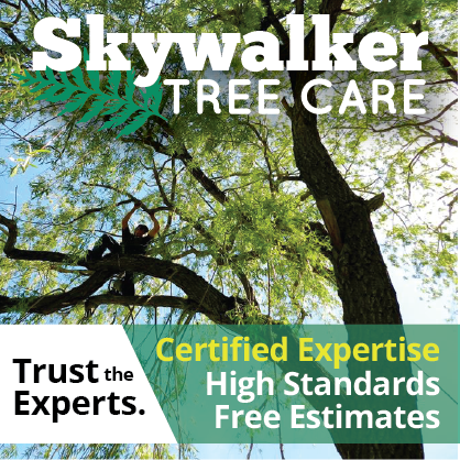 Certified Master Arborist and forester with 30 years' experience. Tree care for Sandpoint, Bonners Ferry and North Idaho.