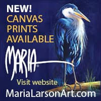 Maria Larson just launched an online store where you can now purchase prints of her original art in Fine Prints. Click on her ad to see more >>>