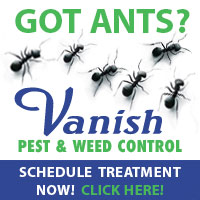 Fast, effective & safe pest control treatments to rid your home, business or property of insects, rodents or weeds. To schedule a treatment, Click Ad...