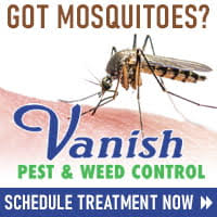 Fast, effective & safe pest control treatments to rid your home, business or property of insects, rodents or weeds. To schedule a treatment, Click Ad...