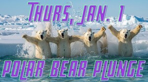 Polar Bear Plunge