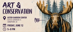 Art & Conservation