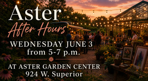 Aster After Hours