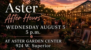 Aster After Hours
