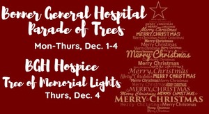 Parade of Trees & Tree of Memorial Lights