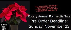 Order Deadline: Rotary Annual Poinsettia Sale