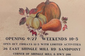 Pumpkin Patch