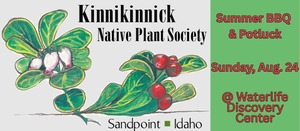 KNPS Summer BBQ & Potluck