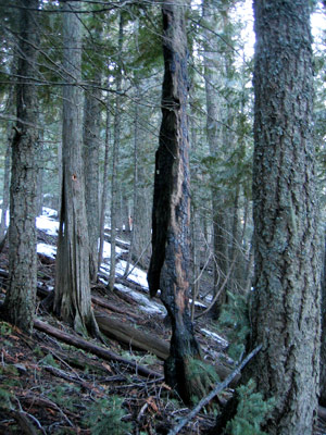 iron mountain snag