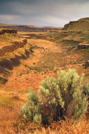 Channeled Scablands, WA