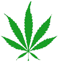 Hemp leaf graphic 