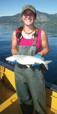 Lake Pend Oreille whitefish in Sandpoint, Idaho, by Kate Wilson - Sandpoint  Magazine