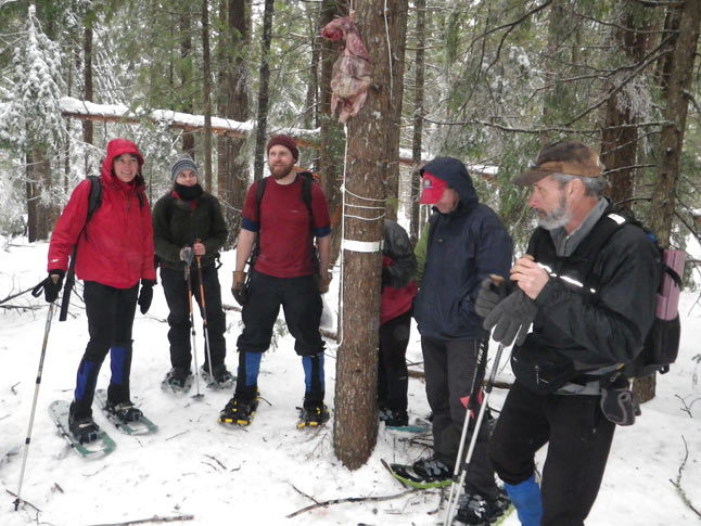 back country skiing