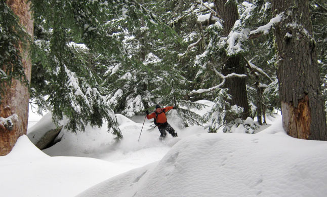 back country skiing