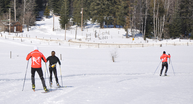 back country skiing